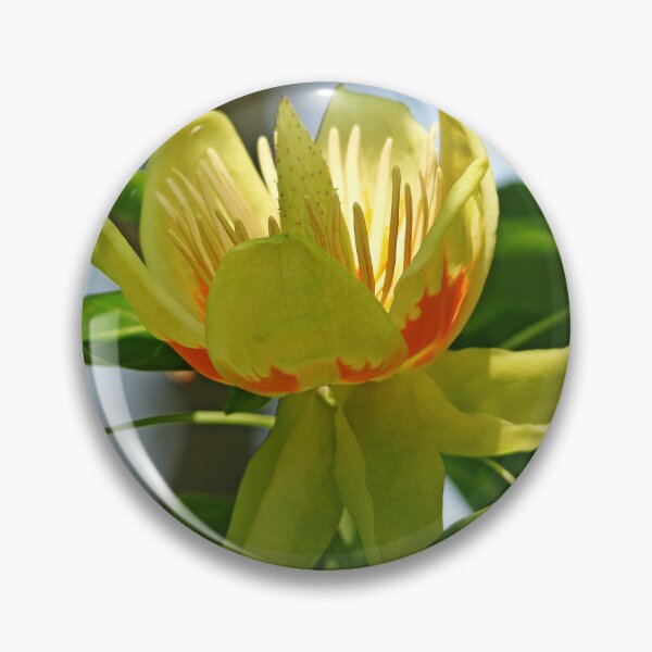 Item preview, Tulip Tree Bloom designed and sold by Debbie Oppermann.