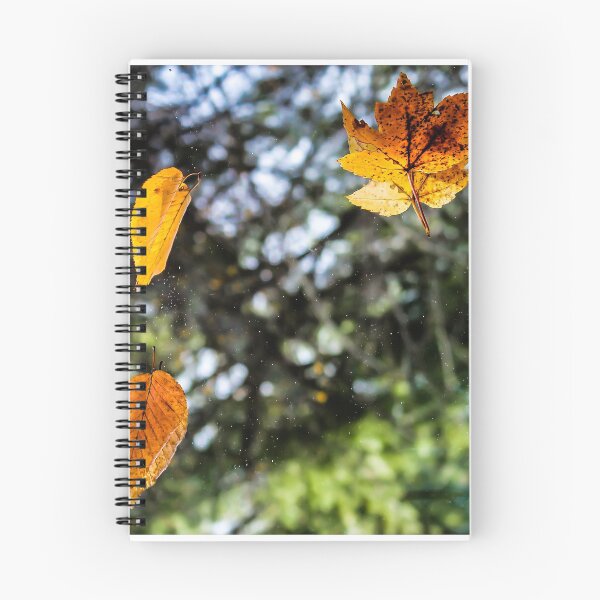 Artikelvorschau, Herbstblätter auf einem Spiegel entworfen und verkauft von The Artful Finch.
