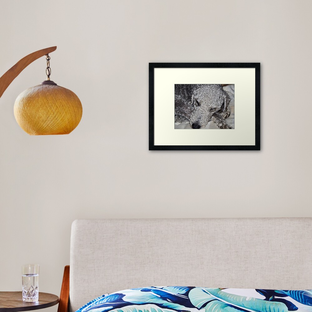 NDVH Bertie Framed Art Print