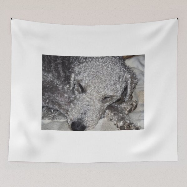 Item preview, NDVH Bertie designed and sold by Nik’s T-Shirts.
