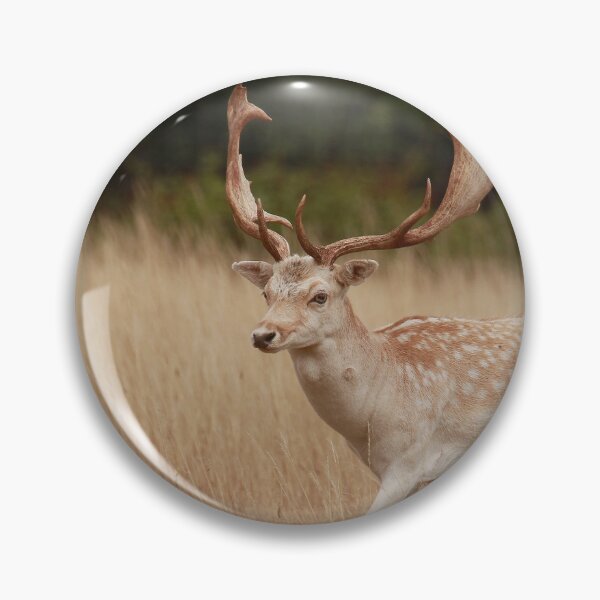 Item preview, Stunning Stag  designed and sold by miradorpictures.