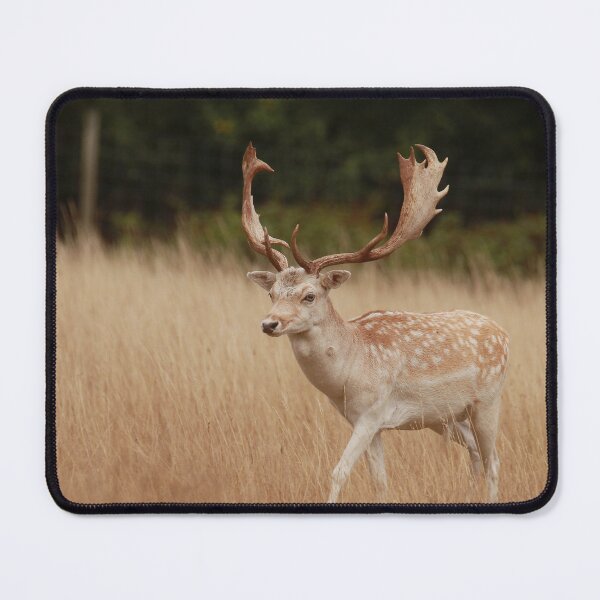 Item preview, Stunning Stag designed and sold by miradorpictures.