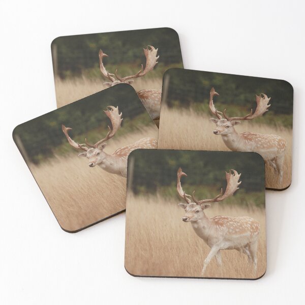 Item preview, Stunning Stag  designed and sold by miradorpictures.