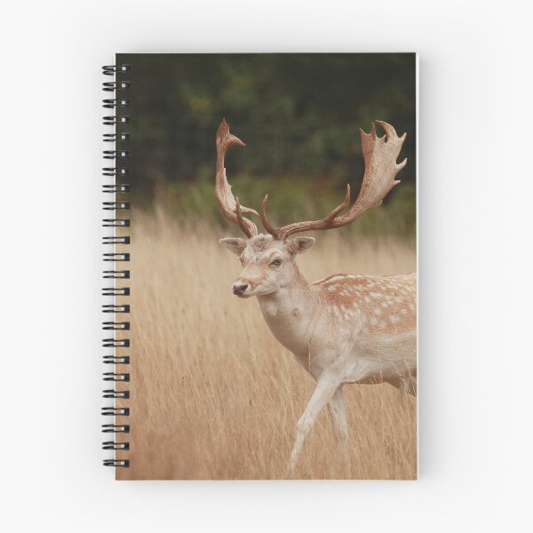Item preview, Stunning Stag  designed and sold by miradorpictures.