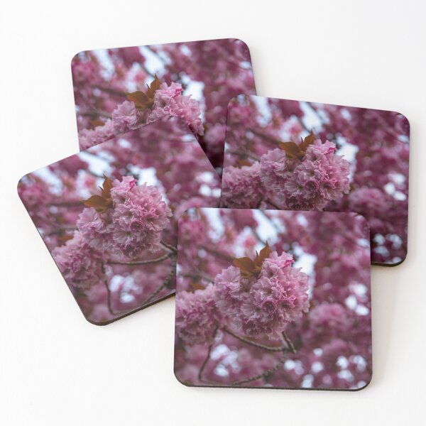 Item preview, Prescott Park Cherry Blossom designed and sold by Daniel's Destinations.