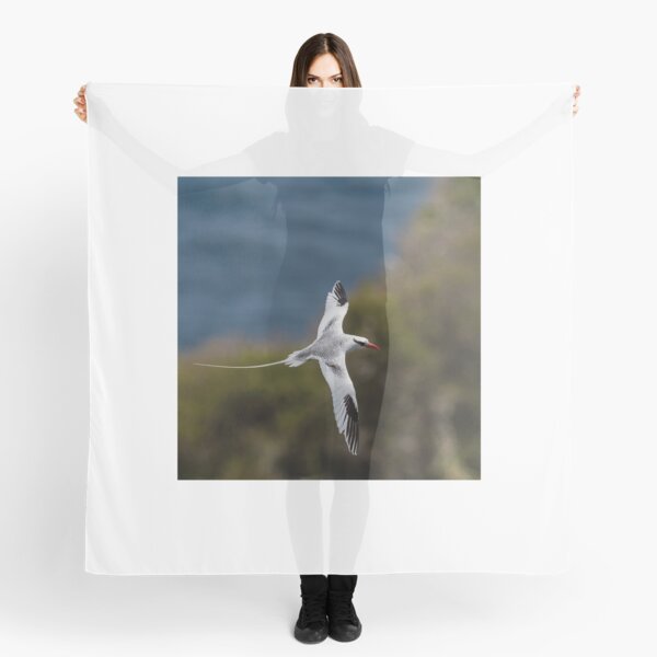 Red-billed Tropicbird Scarf