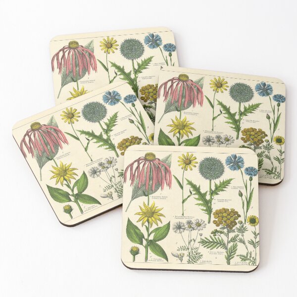 Item preview, 19th Century Vintage Illustrated Poster of Flowers designed and sold by Gin  Neko.