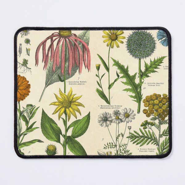 Item preview, 19th Century Vintage Illustrated Poster of Flowers designed and sold by Gin Neko.