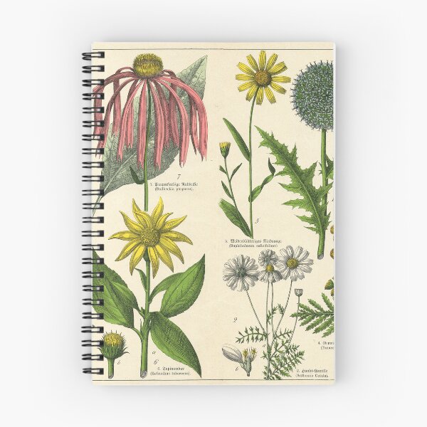 Item preview, 19th Century Vintage Illustrated Poster of Flowers designed and sold by Gin  Neko.