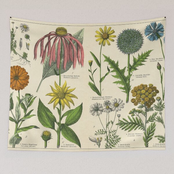 Item preview, 19th Century Vintage Illustrated Poster of Flowers designed and sold by Gin Neko.