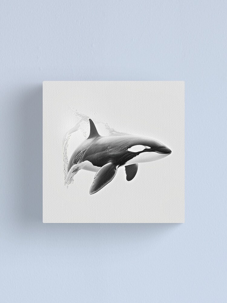 Black and white Orca pencil drawing | Canvas Print