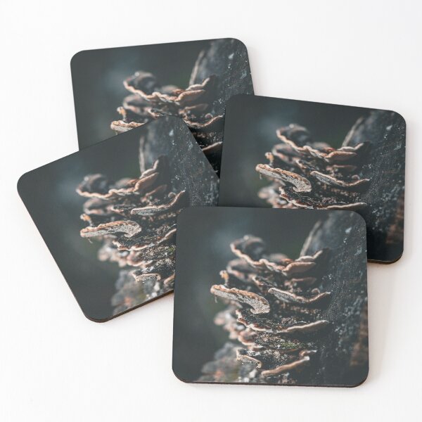 Item preview, Fungi designed and sold by Benkilbeyprints.
