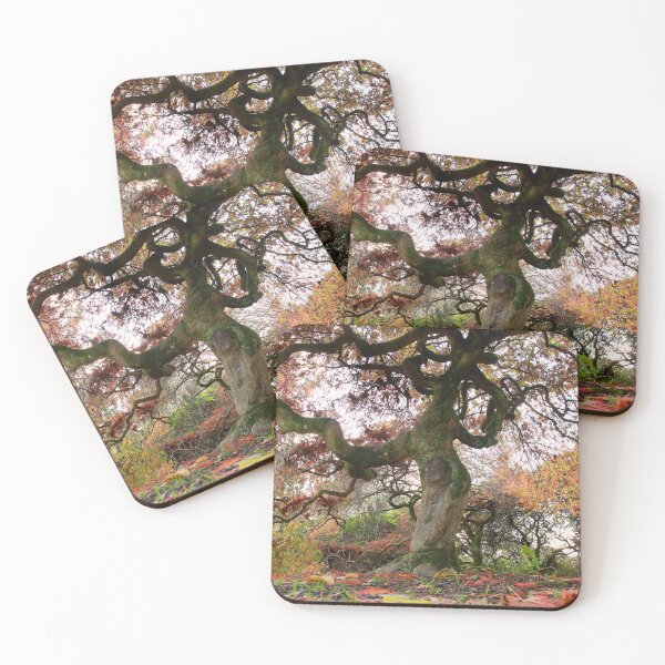 Item preview, Seasonal colours designed and sold by miradorpictures.