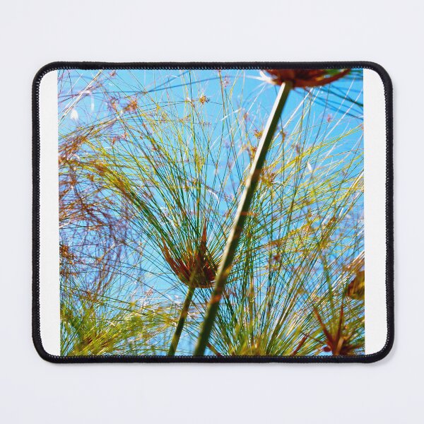 Item preview, between the branches designed and sold by BreeFarinaPhoto.