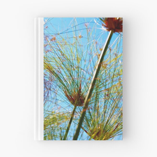 Item preview, between the branches designed and sold by BreeFarinaPhoto.