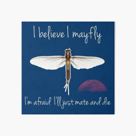 I believe I mayfly! Art Board Print
