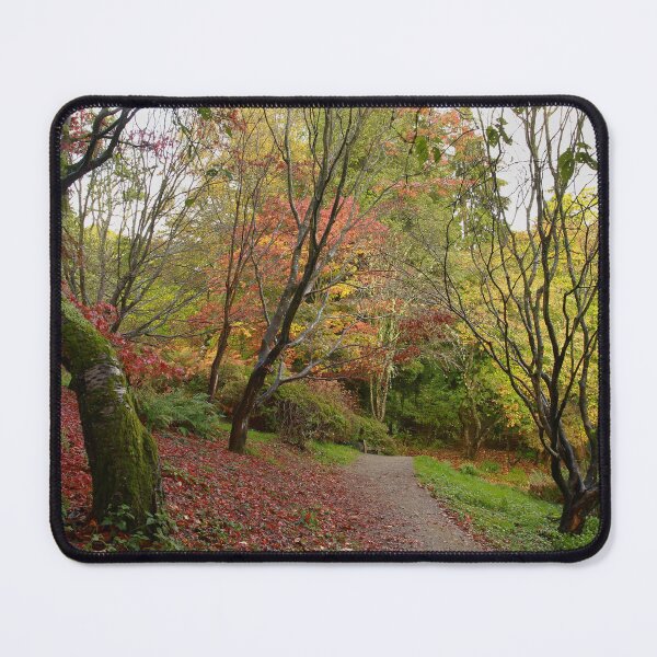 Item preview, Through the trees designed and sold by miradorpictures.