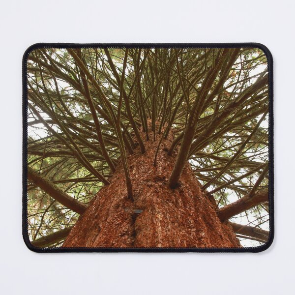 Item preview, Brilliant branches designed and sold by miradorpictures.
