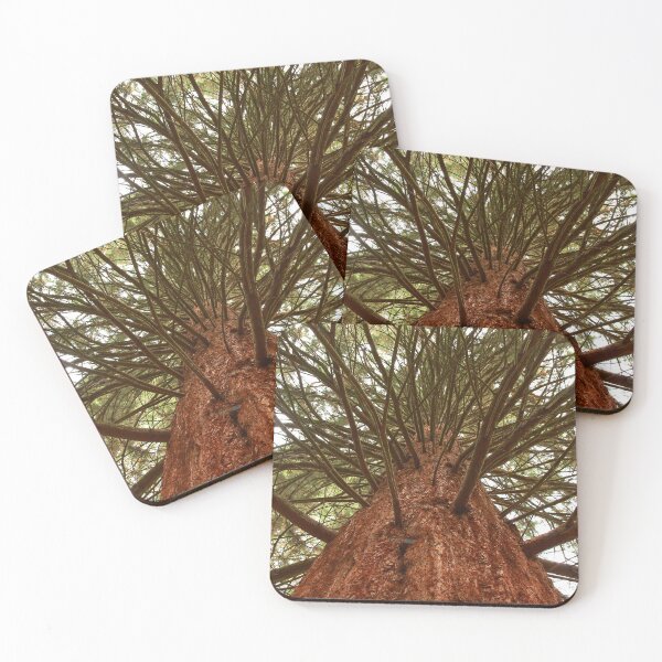 Item preview, Brilliant branches  designed and sold by miradorpictures.