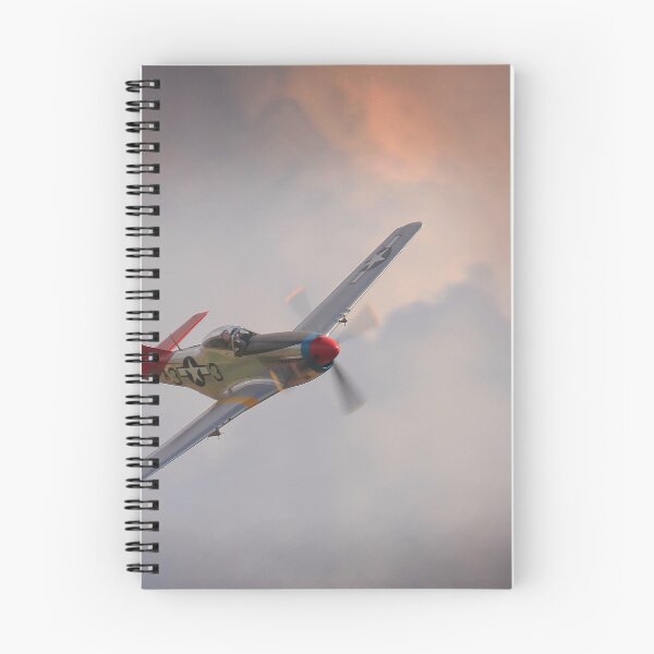 Item preview, Legends of the air designed and sold by miradorpictures.