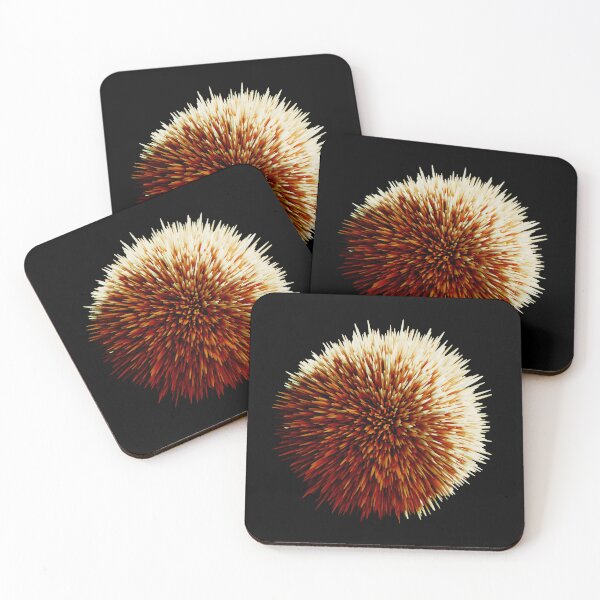 Item preview, Urchin  designed and sold by KMRmerchDesigns.