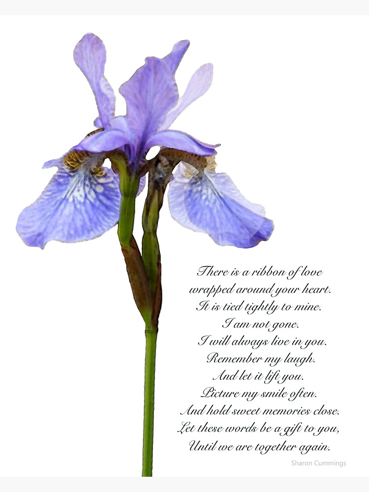 "Iris Flower Art With Sympathy And Grief Poem" Sticker for Sale by SharonCummings Redbubble