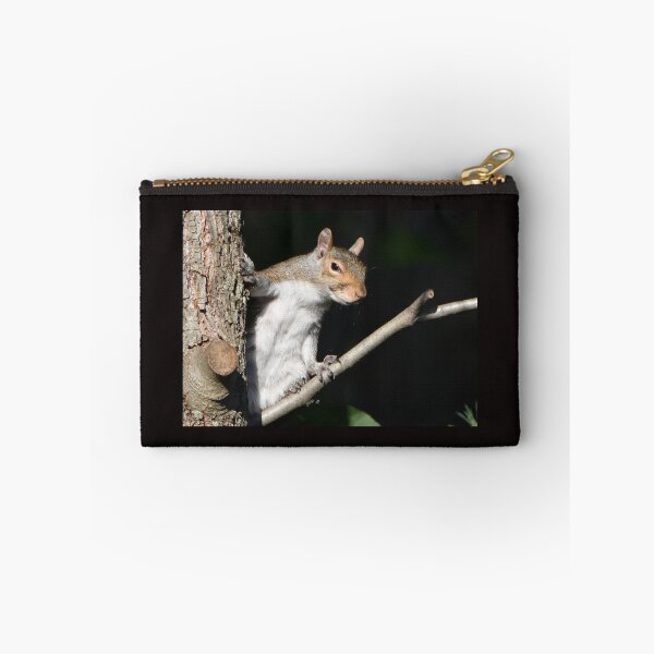 Item preview, Funny Squirrel designed and sold by PatSeg Photos.