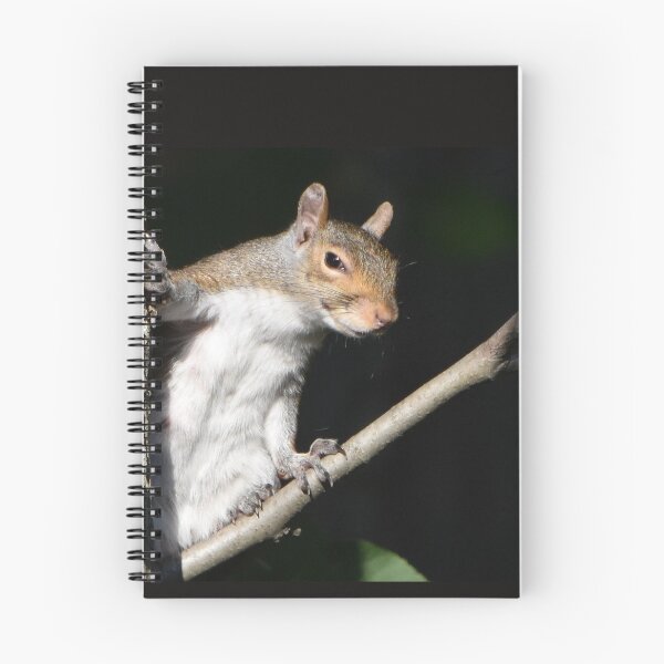 Item preview, Funny Squirrel designed and sold by PatSeg Photos.