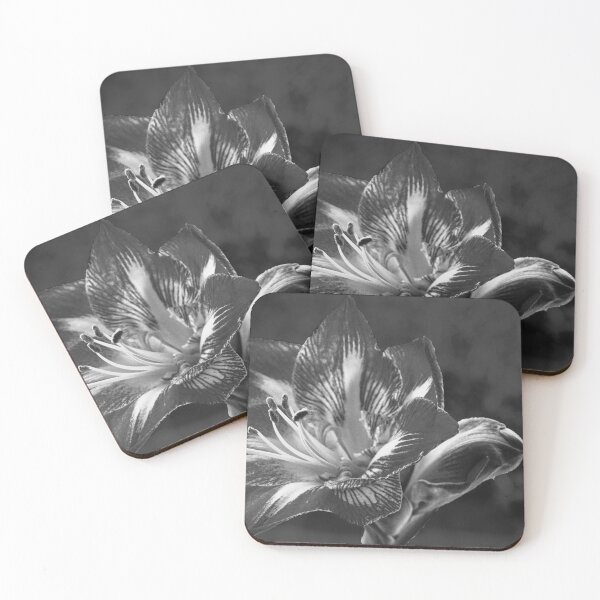 Item preview, Amaryllis in Mono designed and sold by jalfc46.