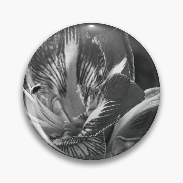 Item preview, Amaryllis in Mono designed and sold by jalfc46.
