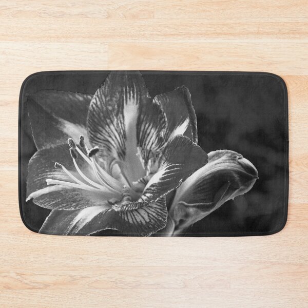Item preview, Amaryllis in Mono designed and sold by jalfc46.