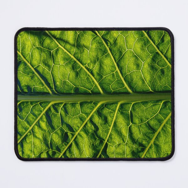 Item preview, Canals of life designed and sold by Dave  McGeachie.