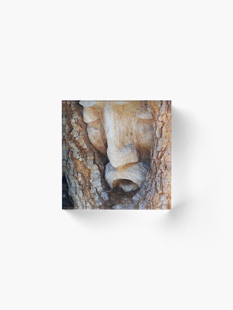 Alternate view of Tree Spirit - Magnolia Manor Acrylic Block