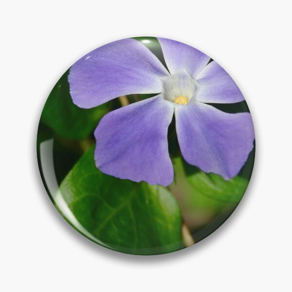Item preview, Periwinkle Flower designed and sold by AnthonyThomas.