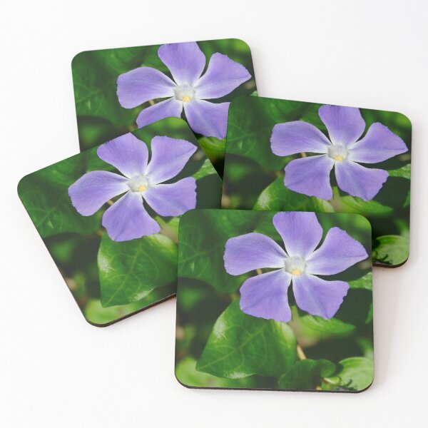 Item preview, Periwinkle Flower designed and sold by AnthonyThomas.