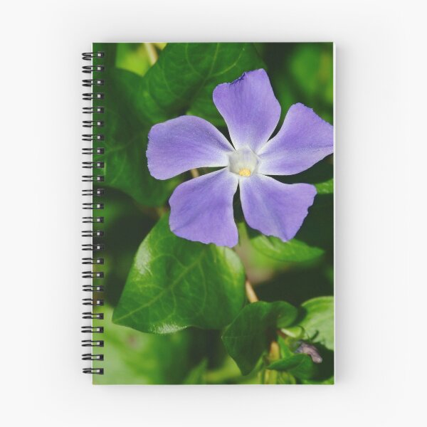 Item preview, Periwinkle Flower designed and sold by AnthonyThomas.