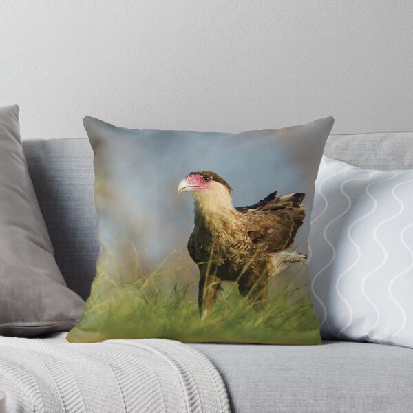 Item preview, Crested Caracara designed and sold by Faraaz Abdool.