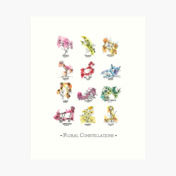 Item preview, Floral Constellations - Chromatic designed and sold by zoazig.