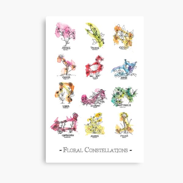 Floral Constellations - Chromatic Canvas Print