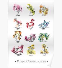 Floral Constellations - Chromatic Poster