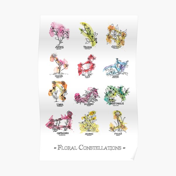 Floral Constellations - Chromatic Poster