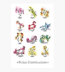Floral Constellations - Chromatic Photographic Print