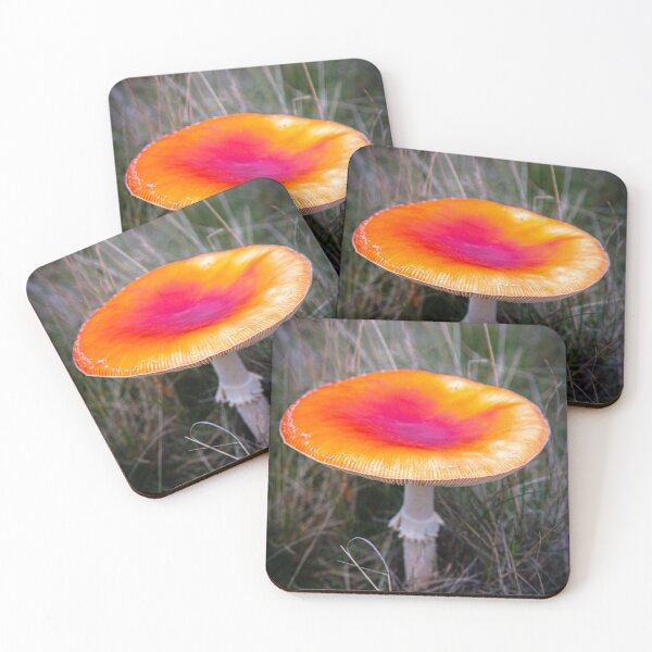 Item preview, Toadstool designed and sold by Dave  McGeachie.