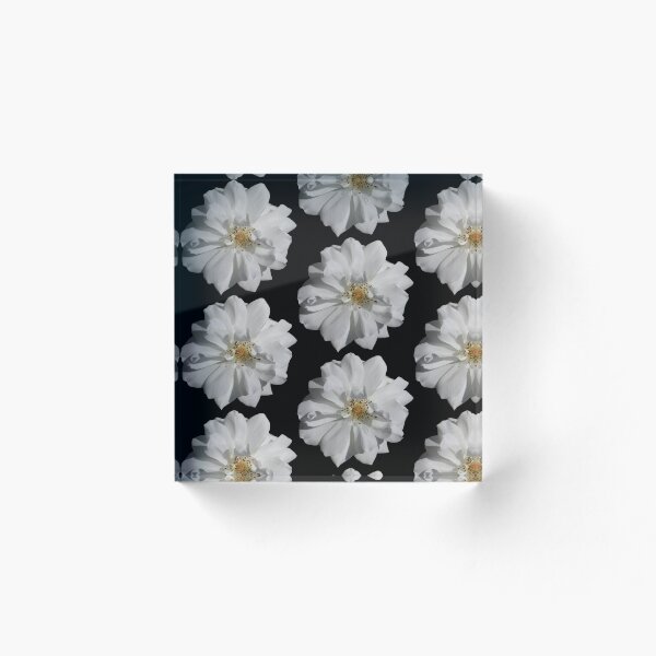 Item preview, White floral pattern - black background designed and sold by DrAgonPhotos.