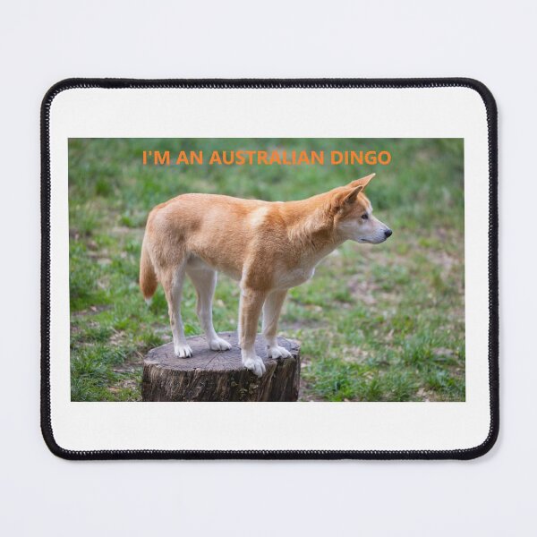 Item preview, Australian Dingo designed and sold by ThundRDownunder.