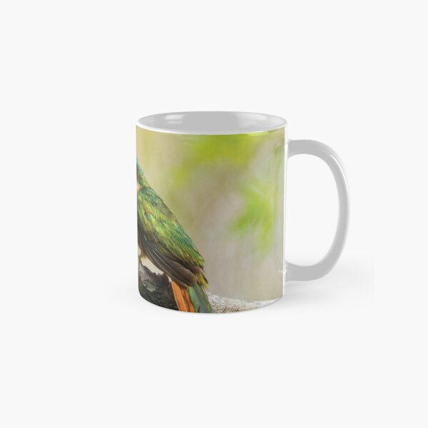 Rufous-tailed Jacamar Classic Mug