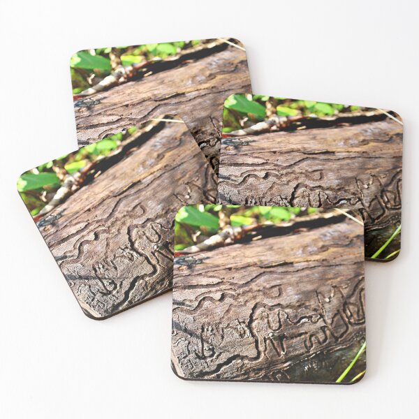 Item preview, Insect Trails:  I See an Elephant designed and sold by Martha Sherman.