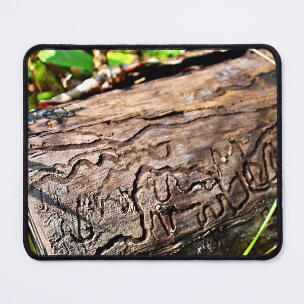 Item preview, Insect Trails: I See an Elephant designed and sold by Martha Sherman.
