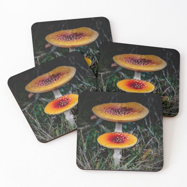 Item preview, Double colourful toadstool. designed and sold by Dave  McGeachie.