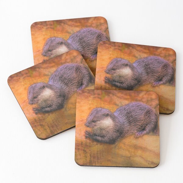 Item preview, Otter designed and sold by DVJPhotography.